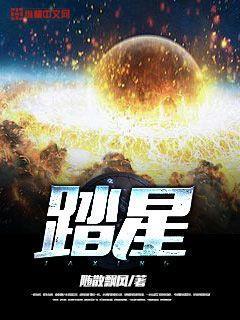 踏星txt全本